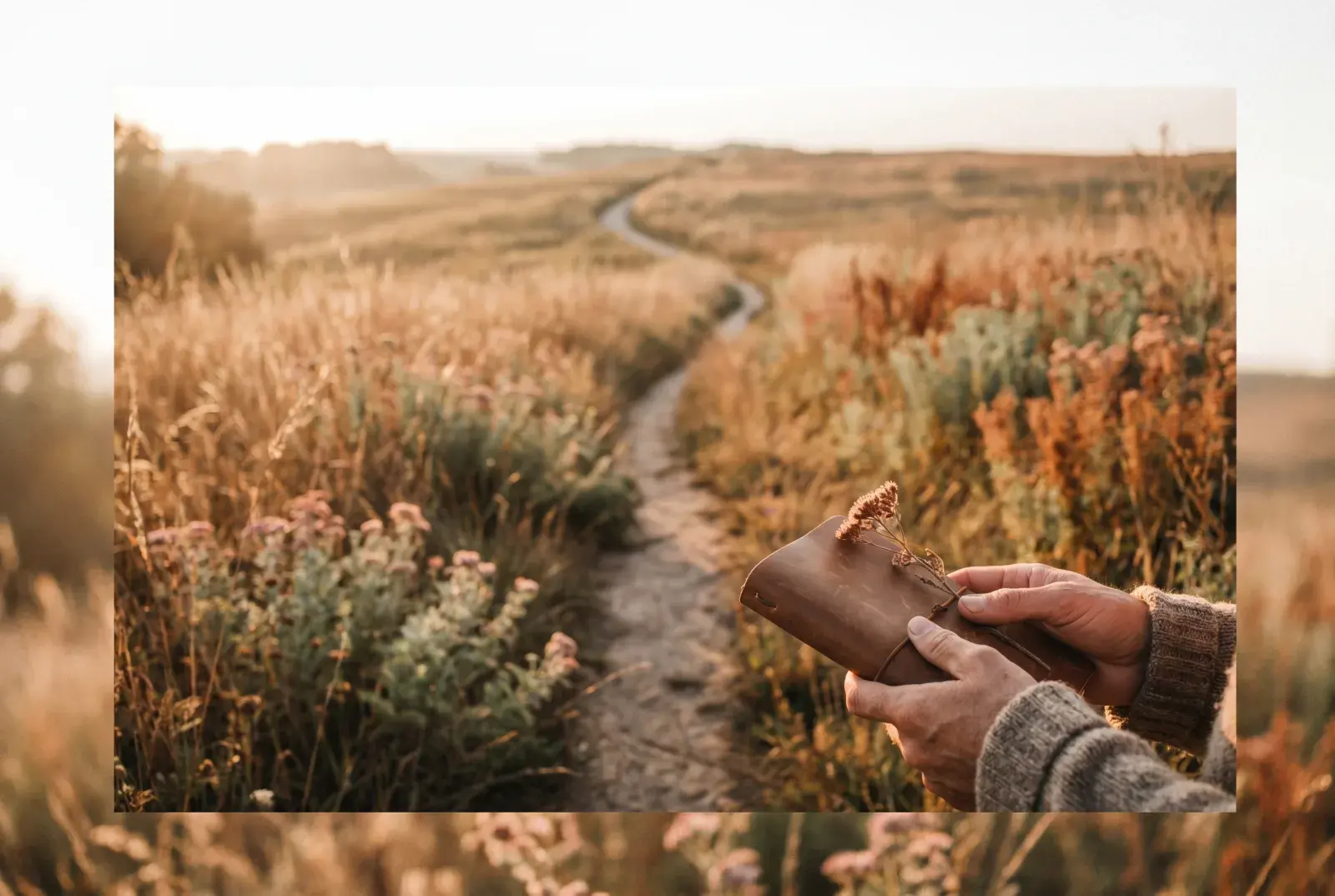 A winding footpath through golden meadows at sunrise